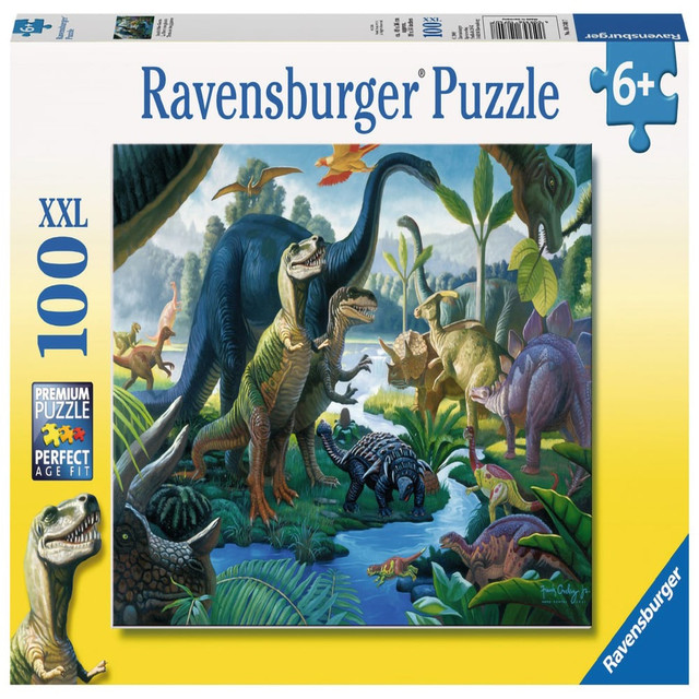 Puzzle- Image may vary (100)